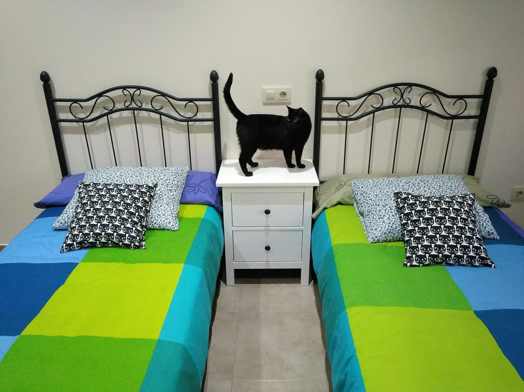 Casa Rural El Gato Negro Trefacio Екстериор снимка
