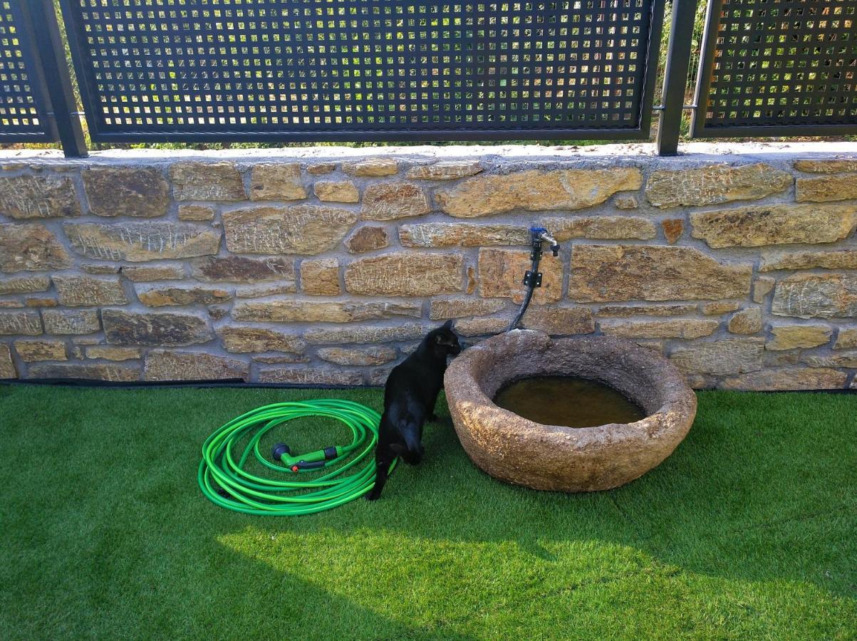 Casa Rural El Gato Negro Trefacio Екстериор снимка